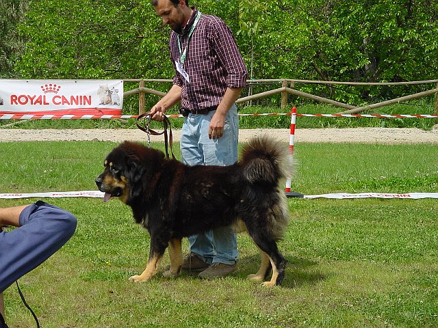 Immagine 024.jpg